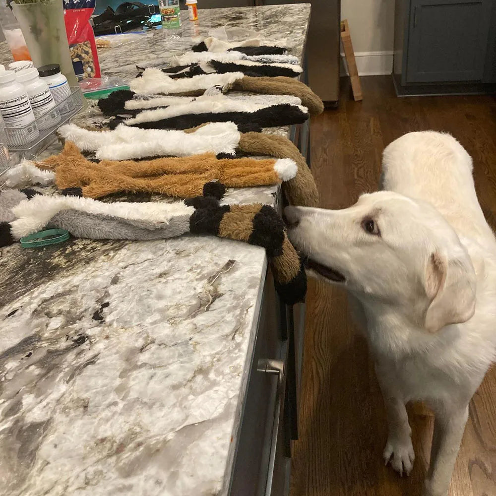 The Sausage Stuffless – Crinkle & Squeak Plush for Big Dogs