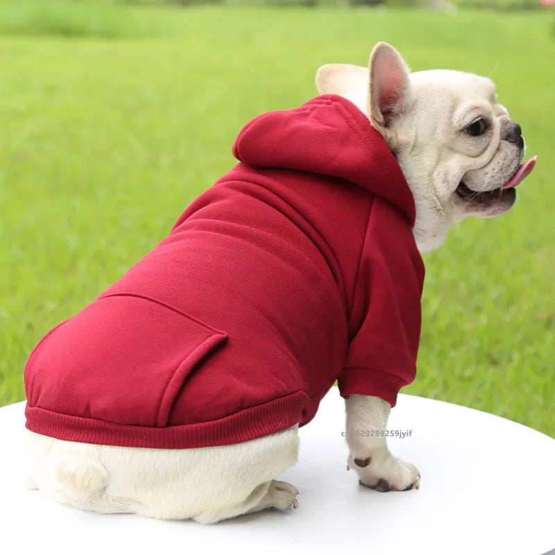 Good Boy Hoodie – Soft, Pocketed & Hooded Dog Sweatshirt