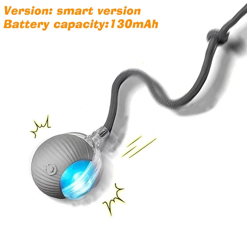 Smart Rolling Dog Ball – Rechargeable Interactive Motion Toy