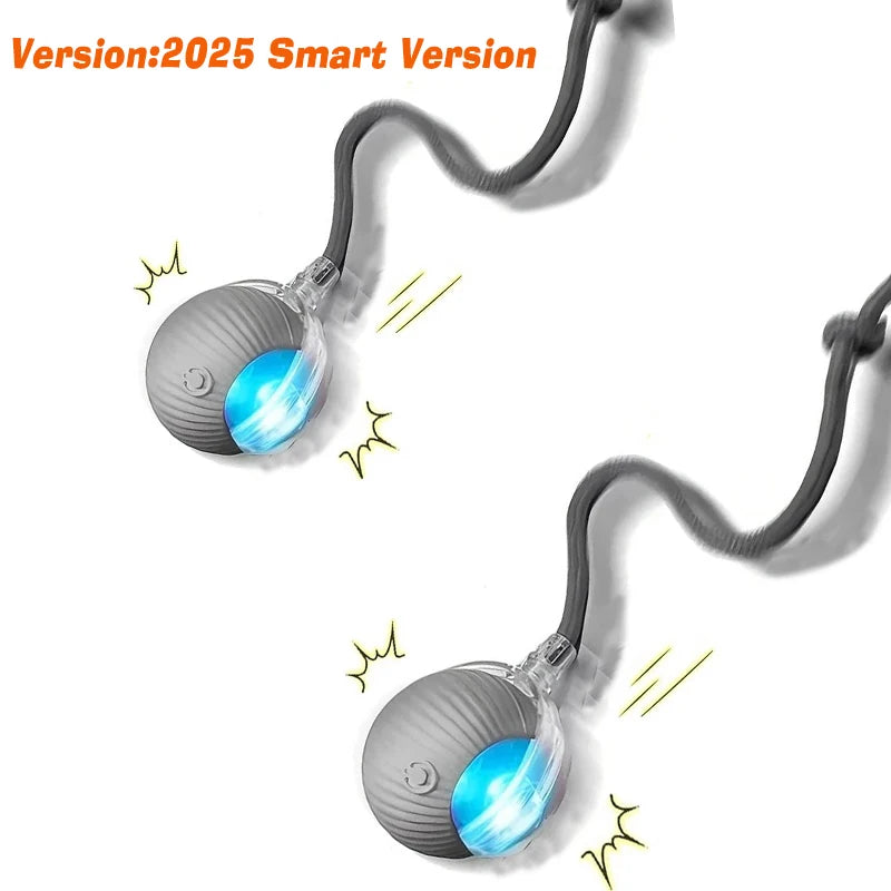 Smart Rolling Dog Ball – Rechargeable Interactive Motion Toy