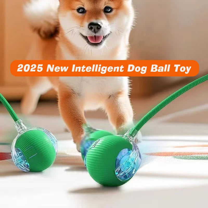 Smart Rolling Dog Ball – Rechargeable Interactive Motion Toy