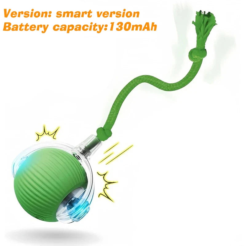 Smart Rolling Dog Ball – Rechargeable Interactive Motion Toy