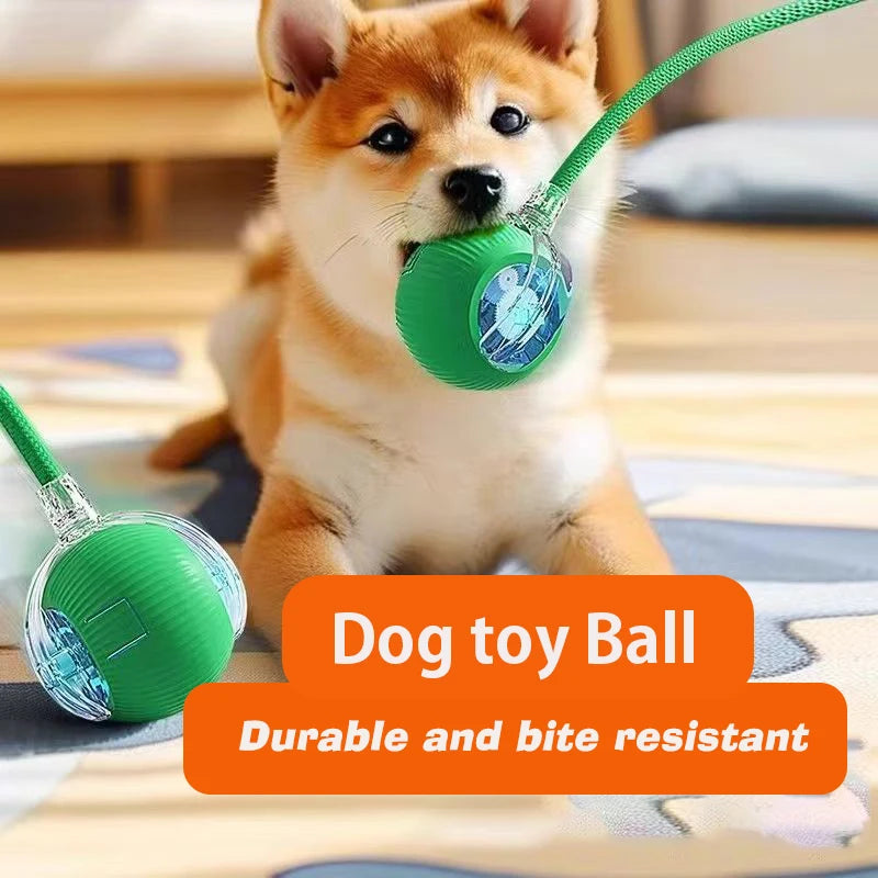 Smart Rolling Dog Ball – Rechargeable Interactive Motion Toy