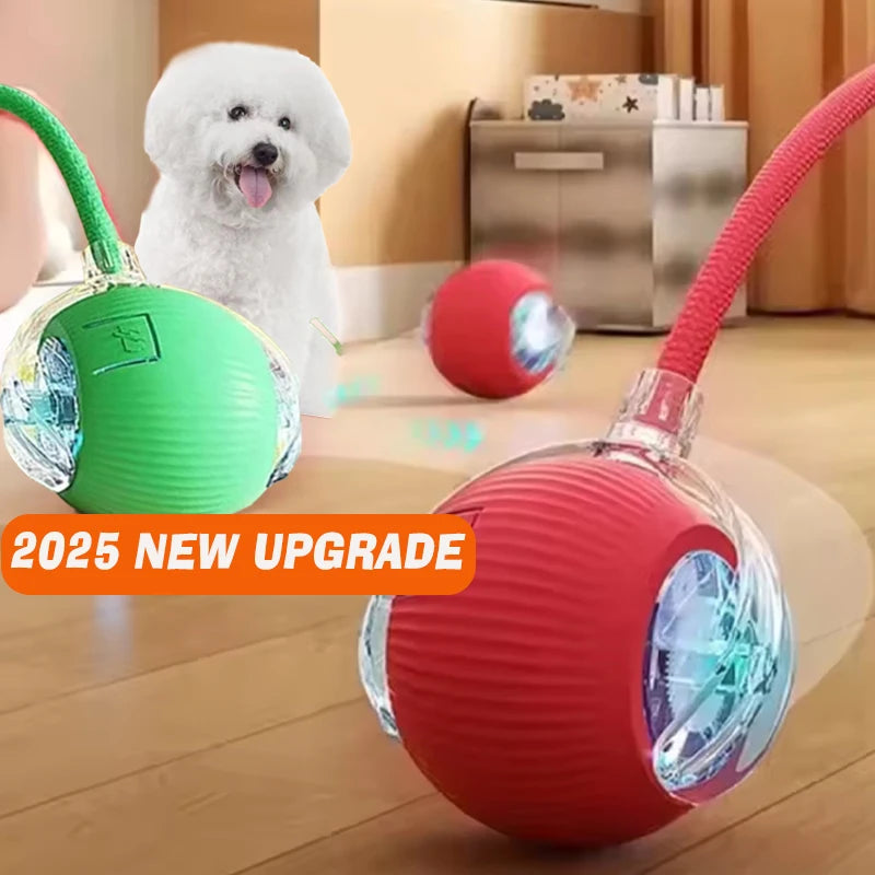 Smart Rolling Dog Ball – Rechargeable Interactive Motion Toy