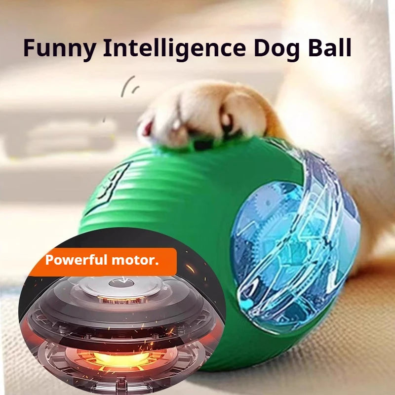 Smart Rolling Dog Ball – Rechargeable Interactive Motion Toy