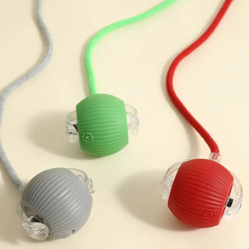 Smart Rolling Dog Ball – Rechargeable Interactive Motion Toy