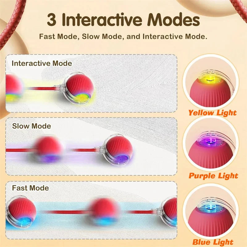 Smart Rolling Dog Ball – Rechargeable Interactive Motion Toy
