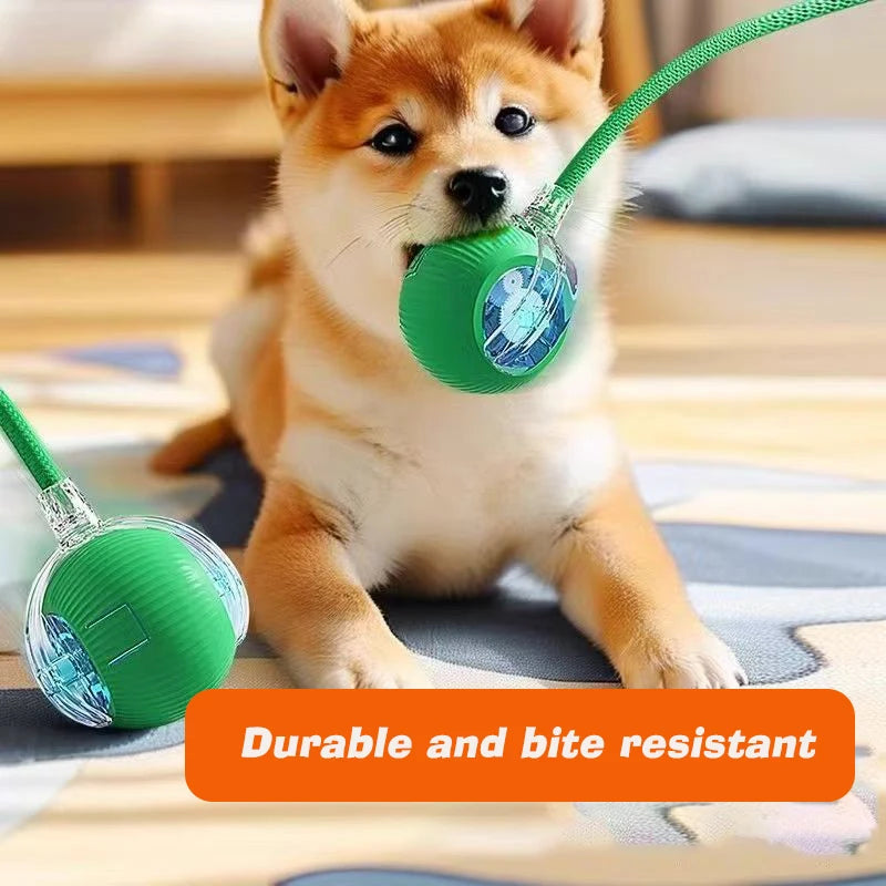 Smart Rolling Dog Ball – Rechargeable Interactive Motion Toy
