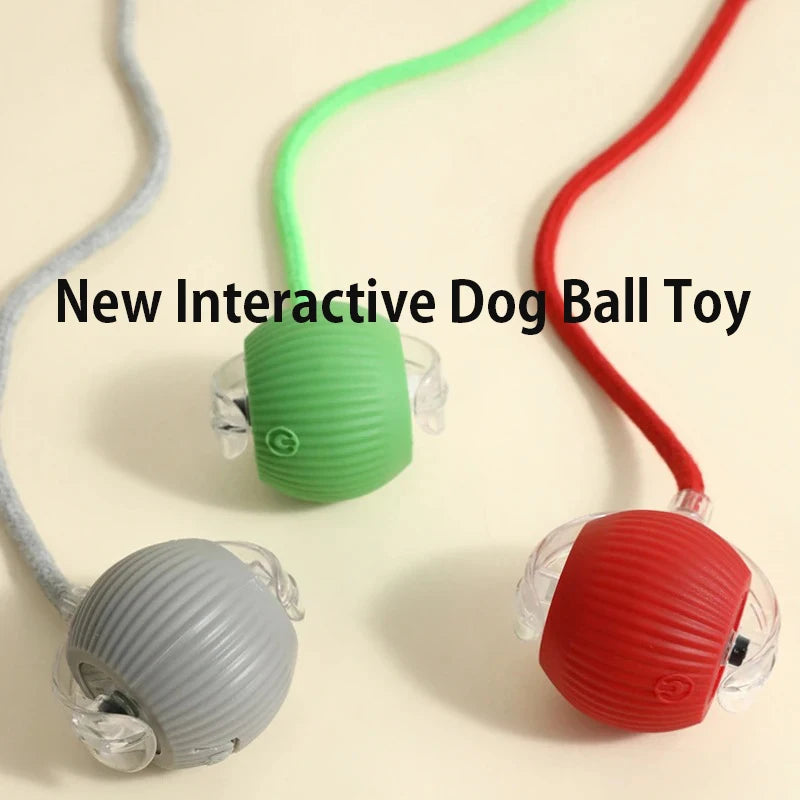 Smart Rolling Dog Ball – Rechargeable Interactive Motion Toy
