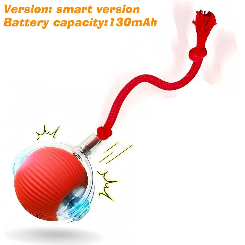 Smart Rolling Dog Ball – Rechargeable Interactive Motion Toy
