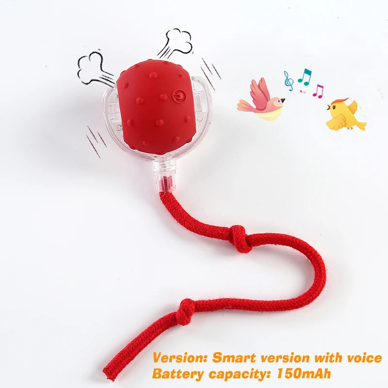 Smart Rolling Dog Ball – Rechargeable Interactive Motion Toy