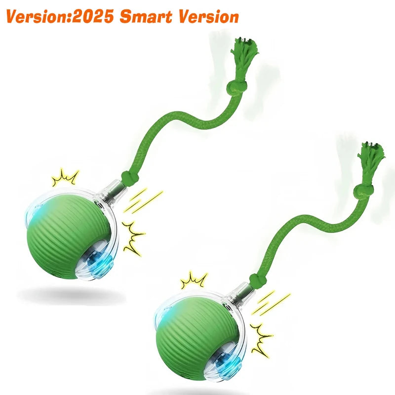 Smart Rolling Dog Ball – Rechargeable Interactive Motion Toy