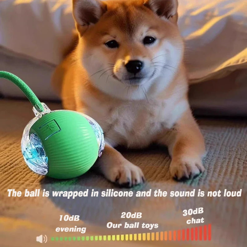 Smart Rolling Dog Ball – Rechargeable Interactive Motion Toy