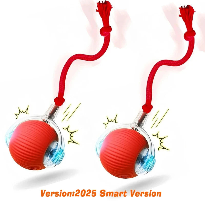 Smart Rolling Dog Ball – Rechargeable Interactive Motion Toy